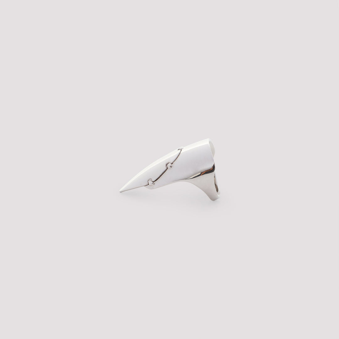Silver shark tooth on a white background