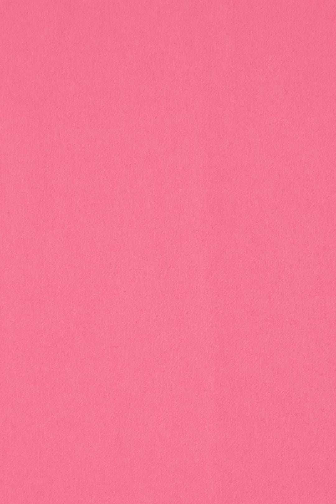 Alexander Mcqueen Women Pink Cashmere Blend Scarf