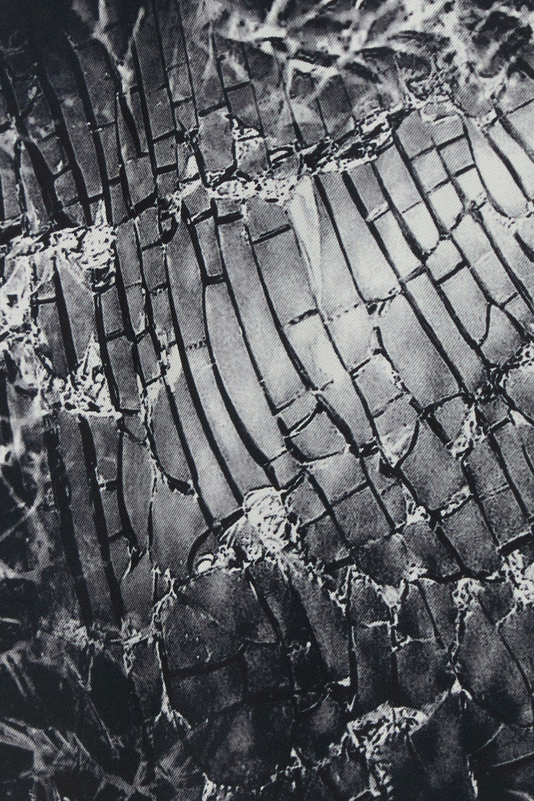 Alexander Mcqueen Women Skirt