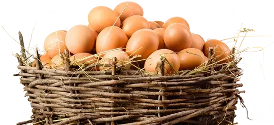 All Our Eggs in One Basket at STORE 7994!