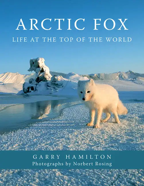 Arctic Fox: Life at the Top of the World - Paperback