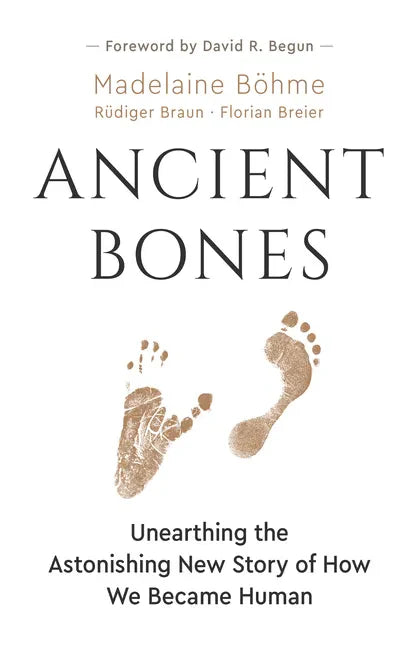 Ancient Bones: Unearthing the Astonishing New Story of How We Became Human - Paperback