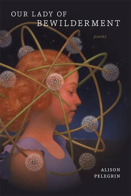 Our Lady of Bewilderment: Poems - Paperback