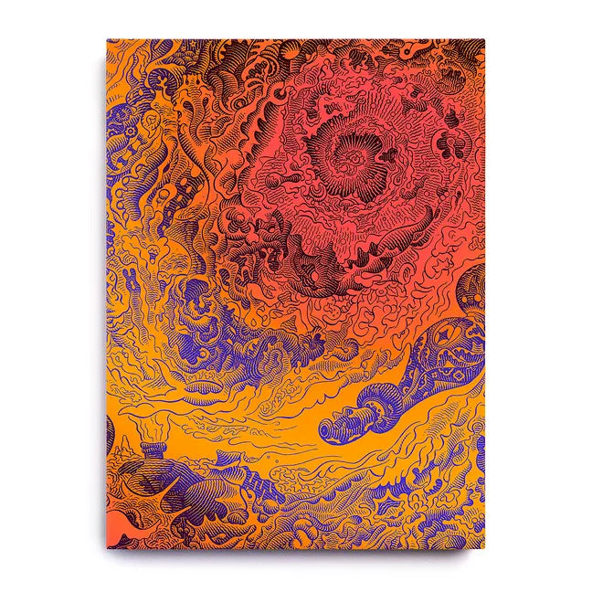 A Voyage to Arcturus: An Illuminated Edition - Hardcover