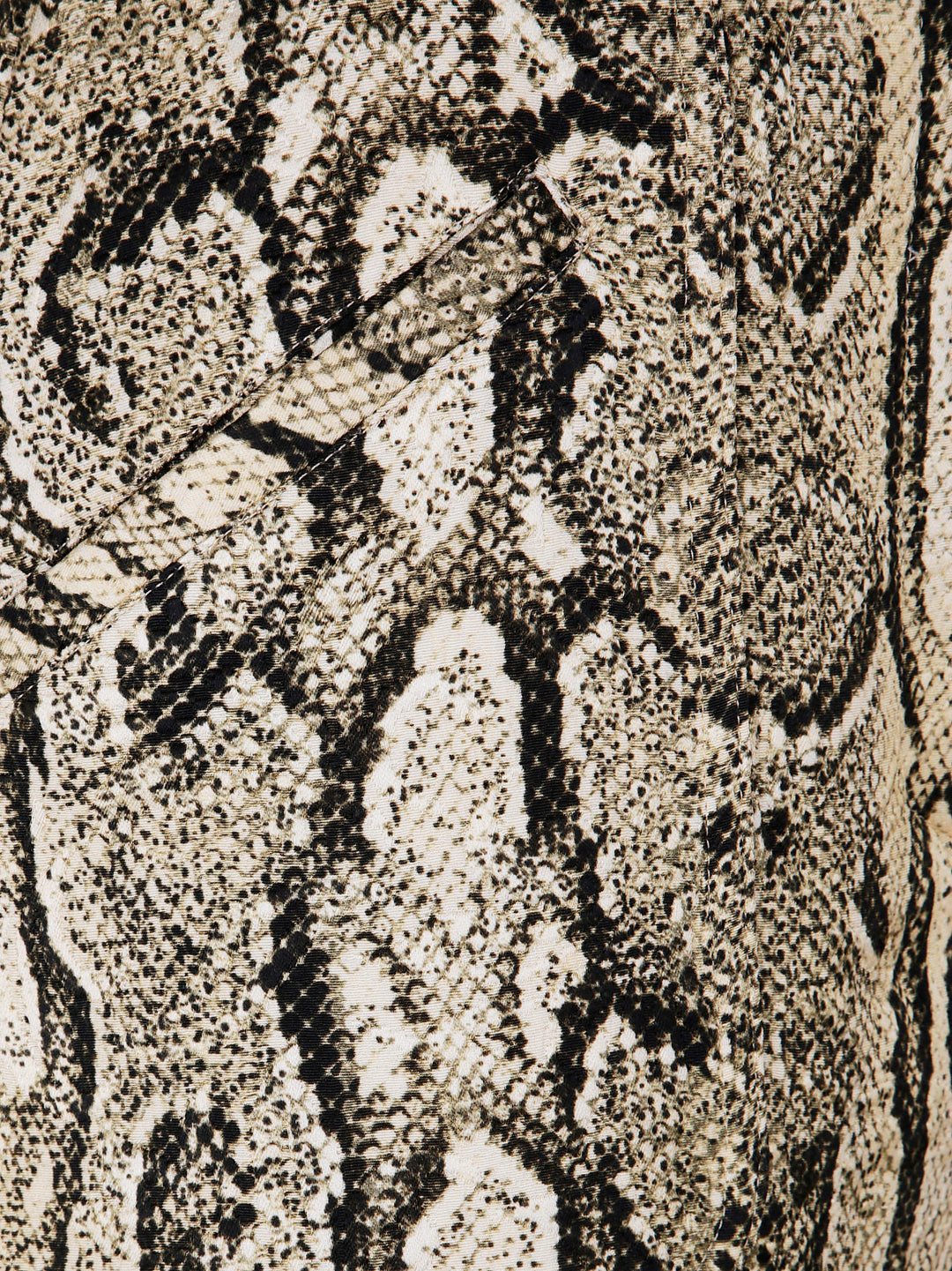 Dries Van Noten Women Cheraz Midi Skirt