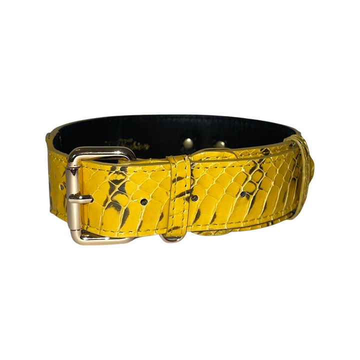 Mustard Yellow &amp; Black Snake Classic Collar
