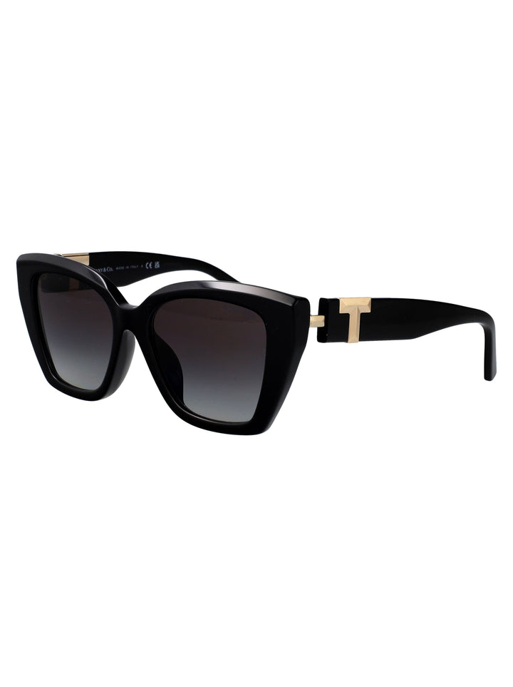 TIFFANY &amp; CO Chic Acetate Sunglasses for Women - FW25 Collection