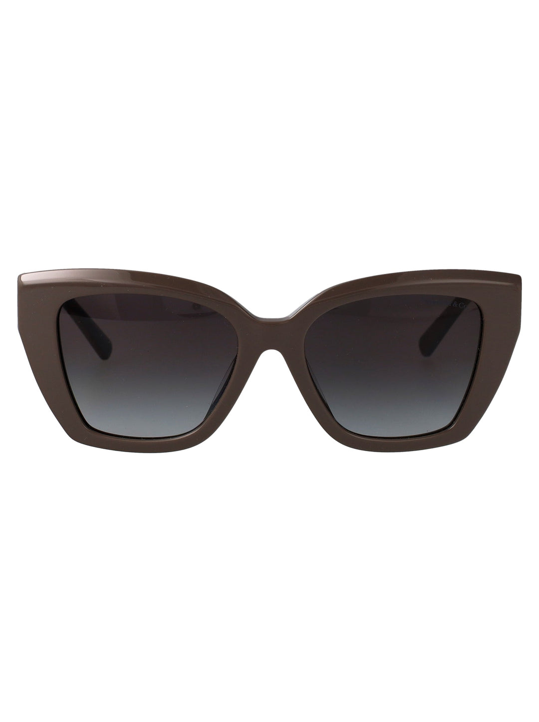 TIFFANY &amp; CO Luxury Acetate Sunglasses for Women