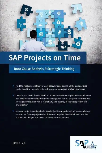 SAP Projects on Time: Root Cause Analysis & Strategic Thinking - Paperback
