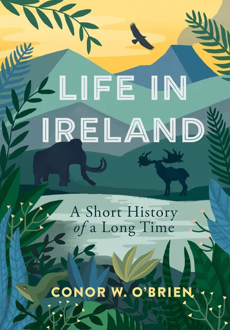 Life in Ireland: A Short History of a Long Time - Paperback