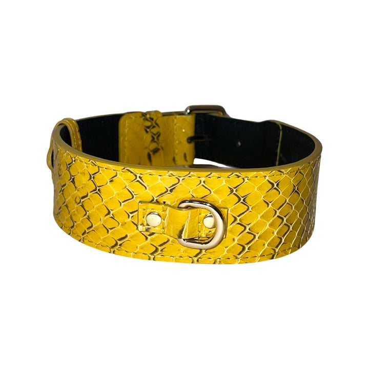 Mustard Yellow &amp; Black Snake Classic Collar