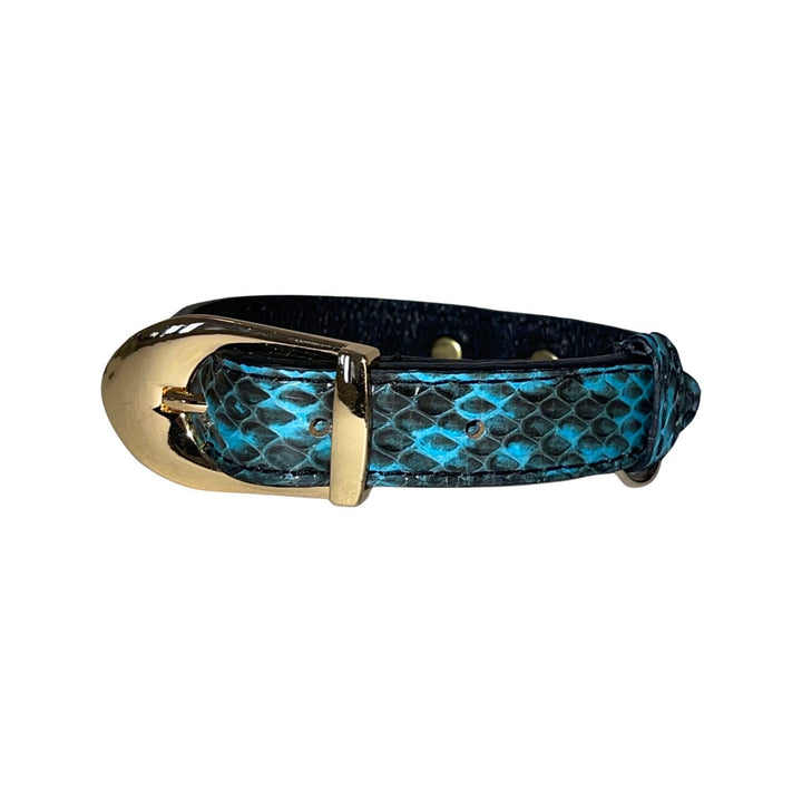XS/S 7”-14” Turquoise &amp; Black Custom Snake Collar/Custom Gold Italian Hardware
