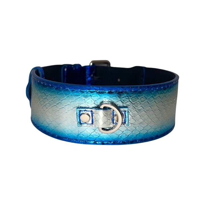 Multi-Tone Blue &amp; Silver Snake Classic Collar