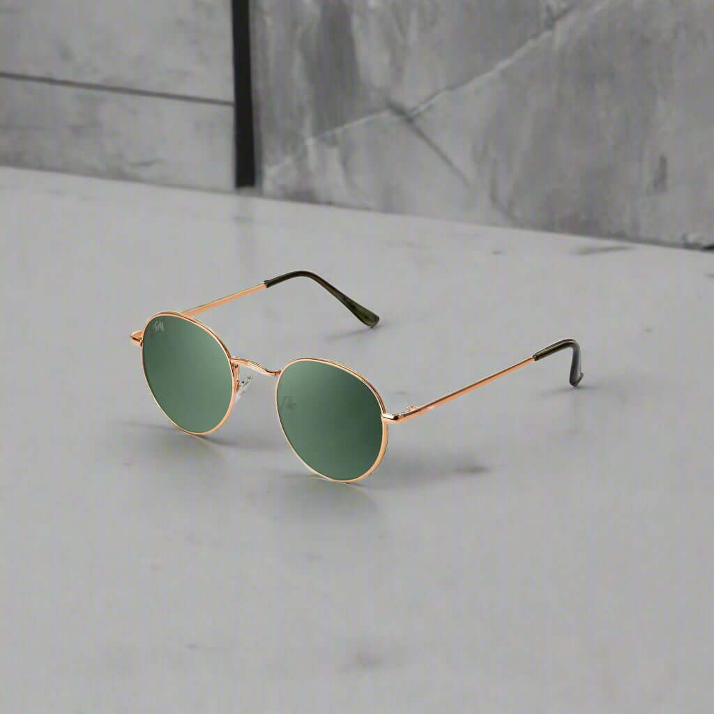 Twig men's and women's sunglasses in assorted styles including aviator, round, and square frames