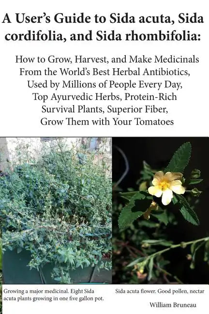 A User's Guide to Sida acuta, Sida cordifolia, and Sida rhombifolia: : How to Grow, Harvest, and Make Medicinals from the World's Best Herbal Antibiot - Paperback