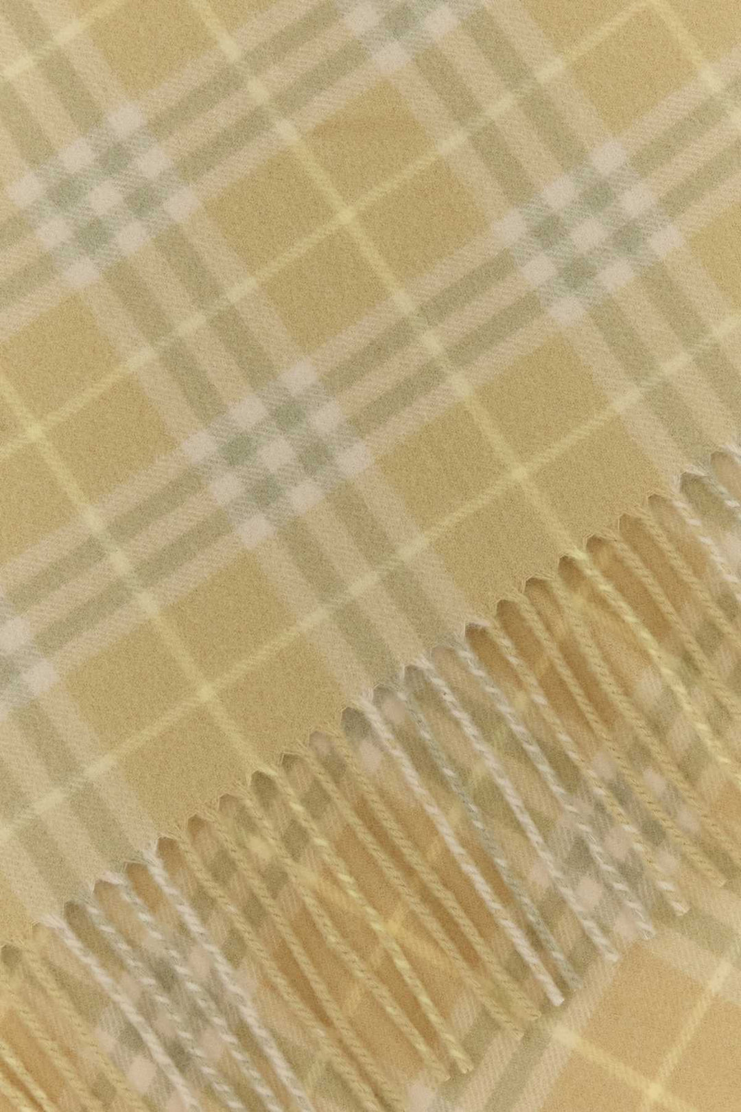 Burberry Unisex Embroidered Cashmere Scarf