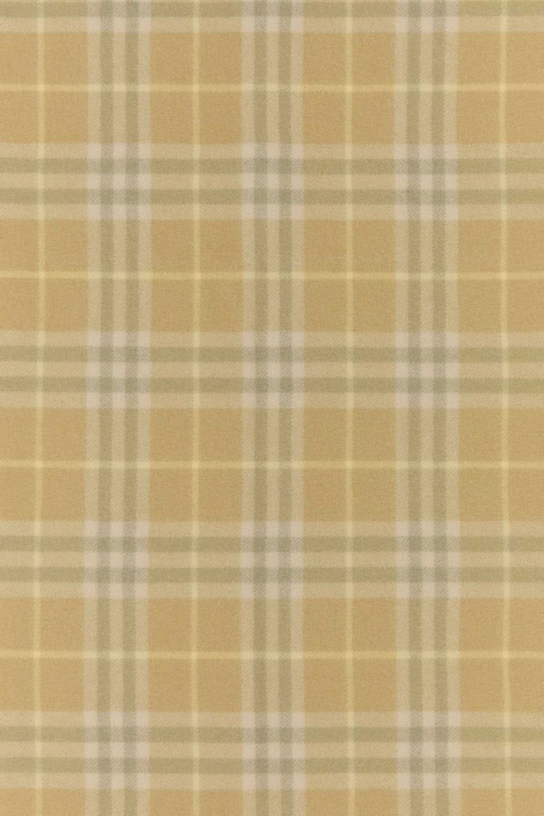 Burberry Unisex Embroidered Cashmere Scarf