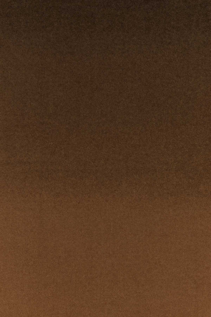 Salvatore Ferragamo Women Brown Cashmere Scarf