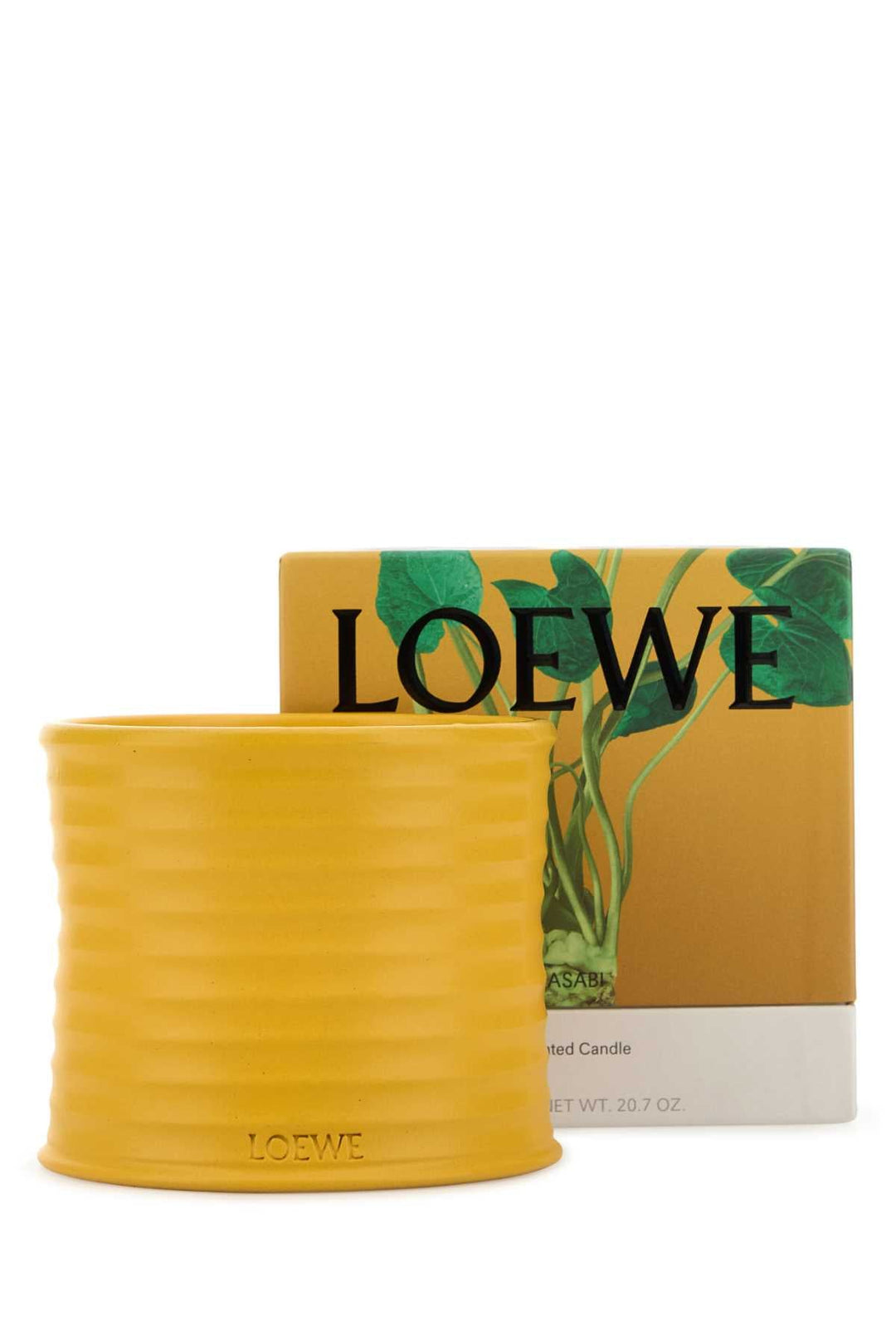 Loewe Unisex Medium Wasabi Scented Candle