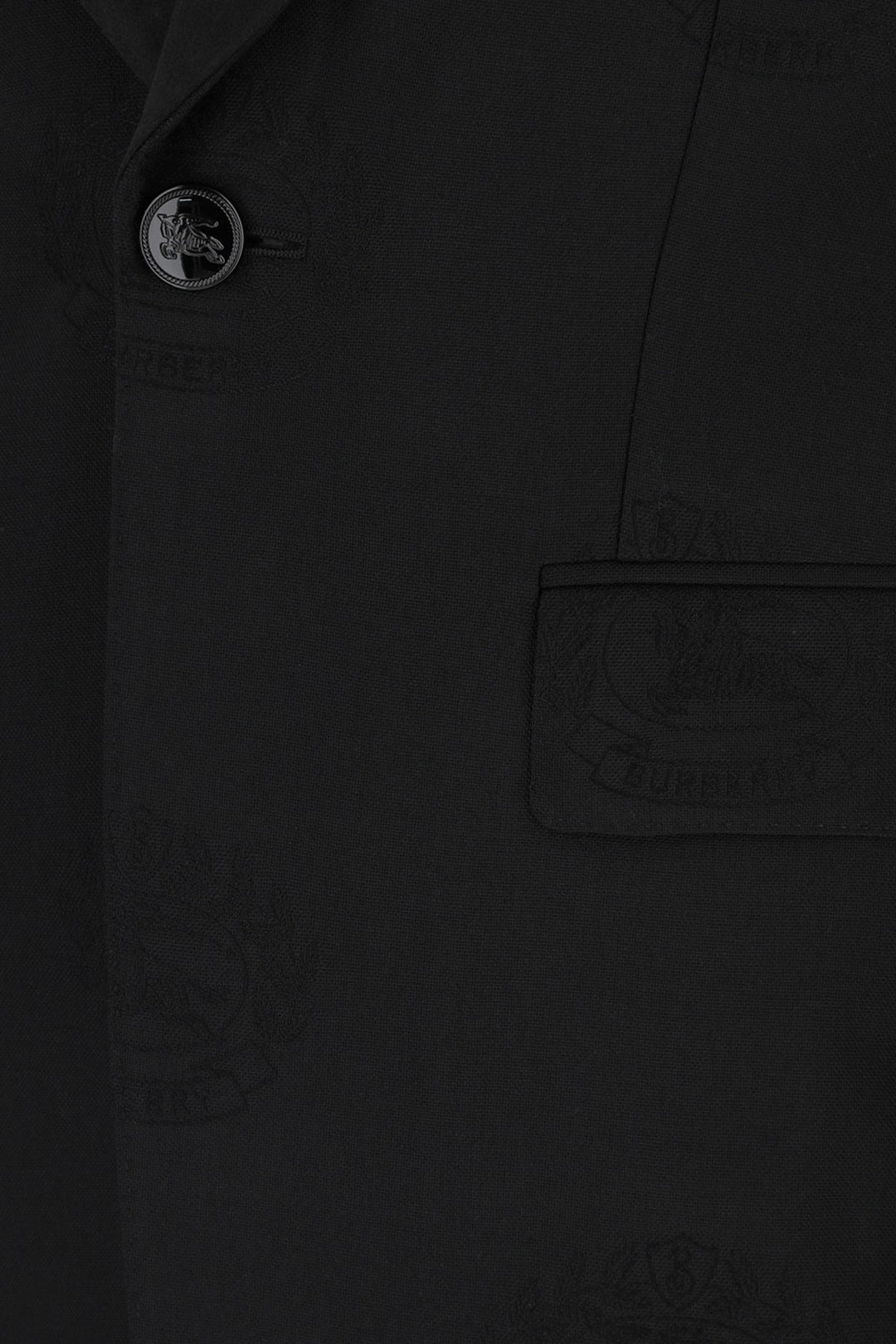 Burberry Men Giacca
