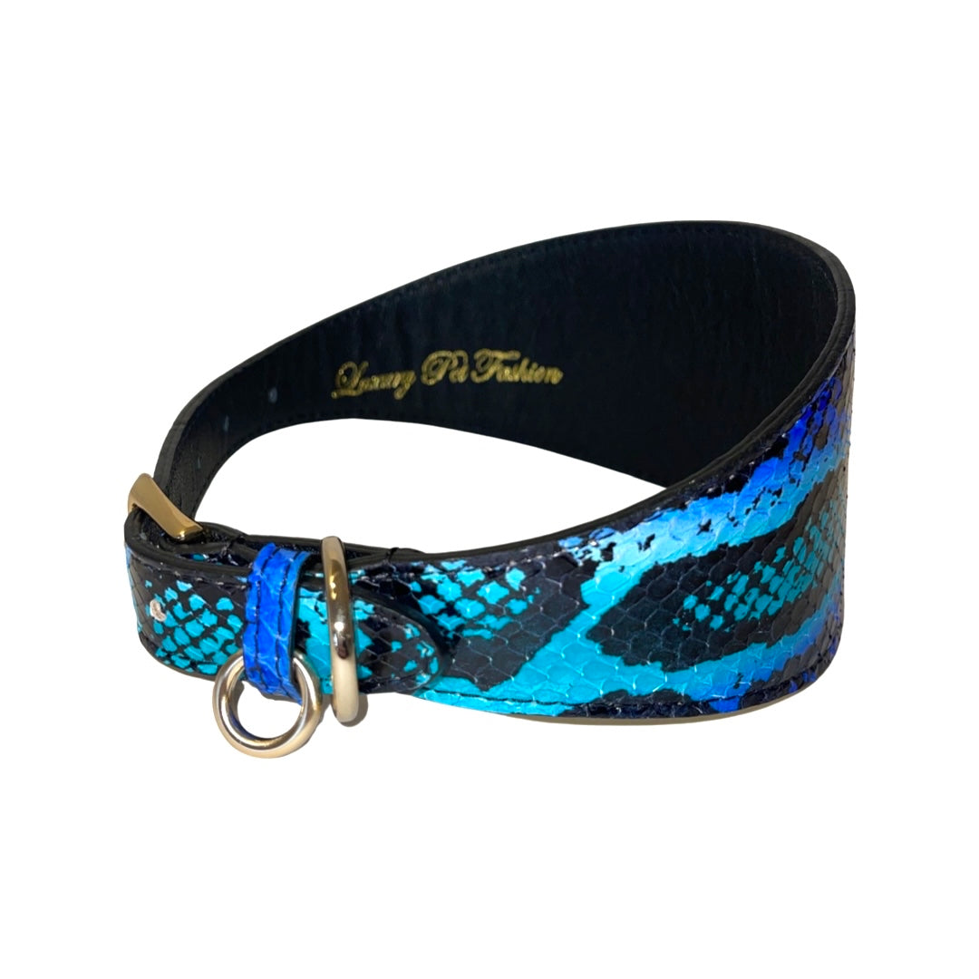 Electric/Turquoise Blue &amp; Black 3” Wide Style Collar