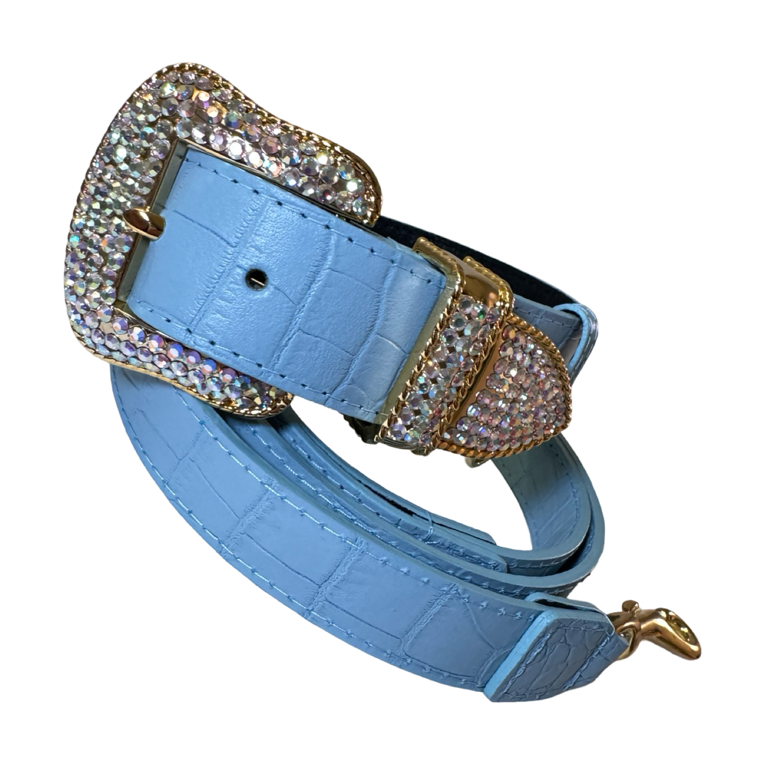 La Jolla Collar &amp; Leash Set