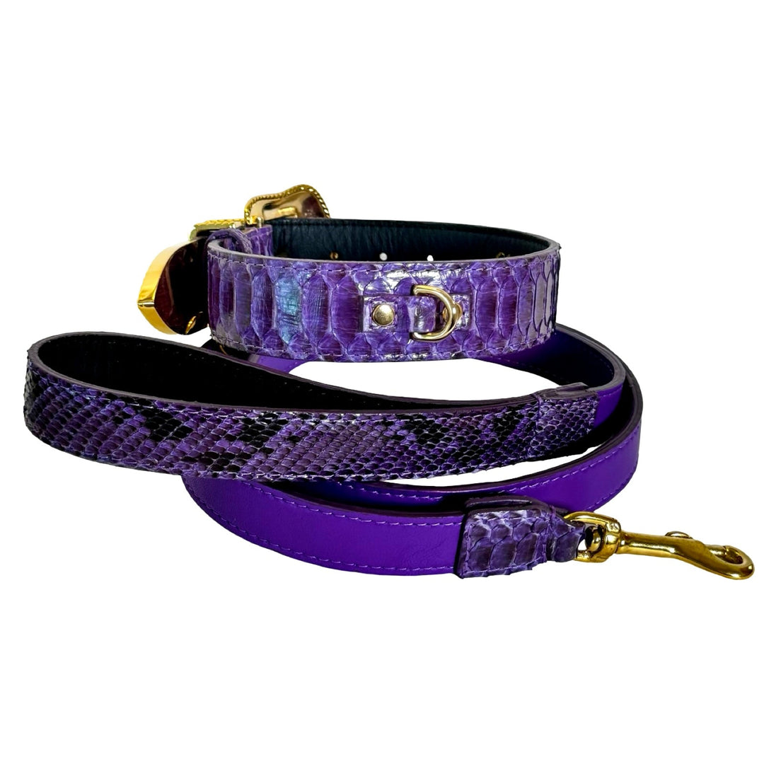 Amethyst Royale Python Set