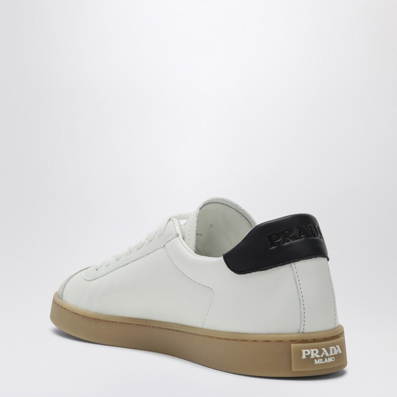 Prada White And Blue Sneaker Lane Men