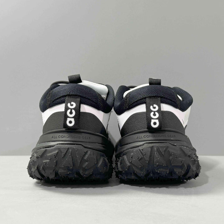 Nike ACG Mountain Fly 2 Low &