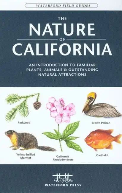 The Nature of Florida: An Introduction to Familiar Plants, Animals & Outstanding Natural Attractions - Paperback