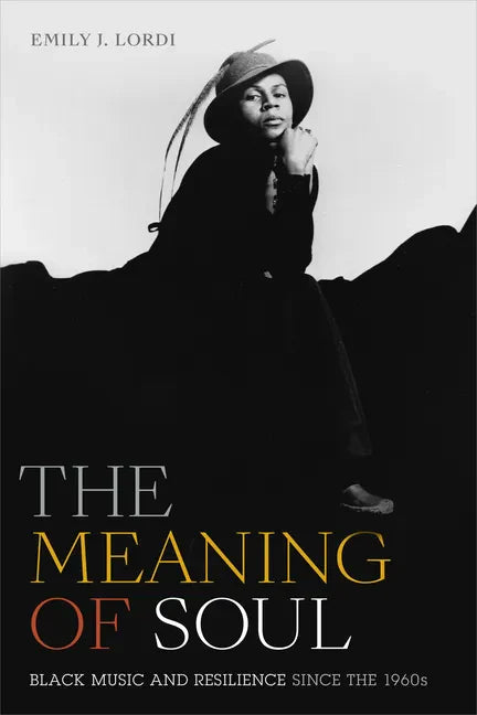 The Meaning of Soul: Black Music and Resilience since the 1960s - Paperback