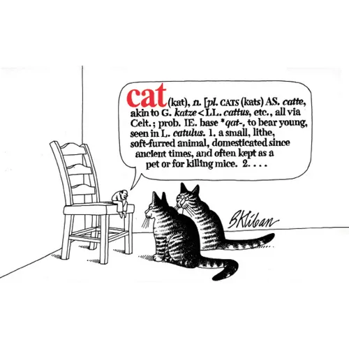 Cat - Paperback