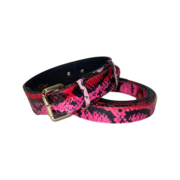 Fuchsia/Light Pink/Red &amp; Black Snake Classic Collar &amp; Leash Set
