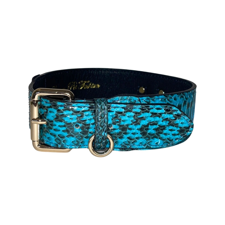 Turquoise &amp; Black Classic Snake Collar With Gold Hardware