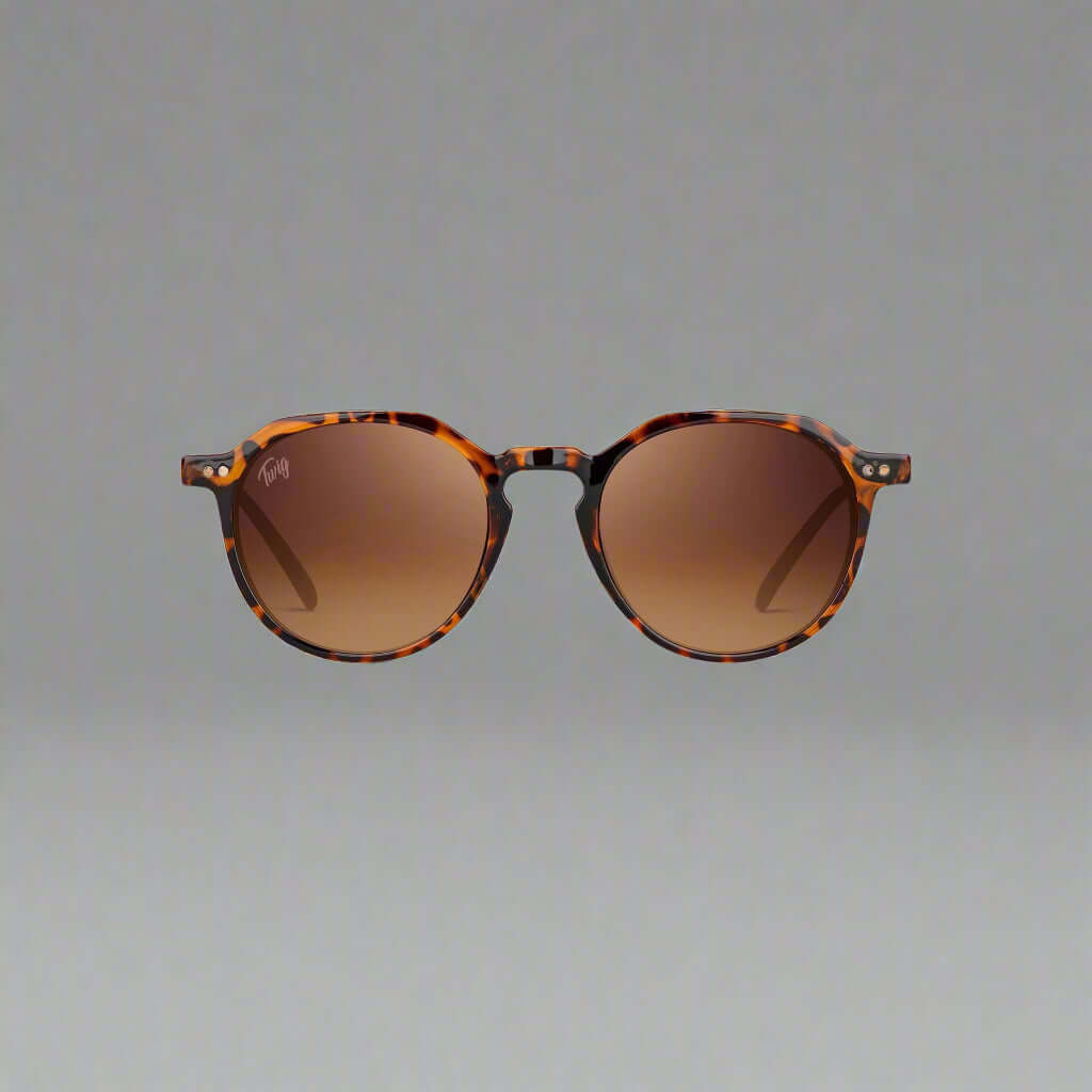 Twig men's and women's sunglasses in assorted styles including aviator, round, and square frames