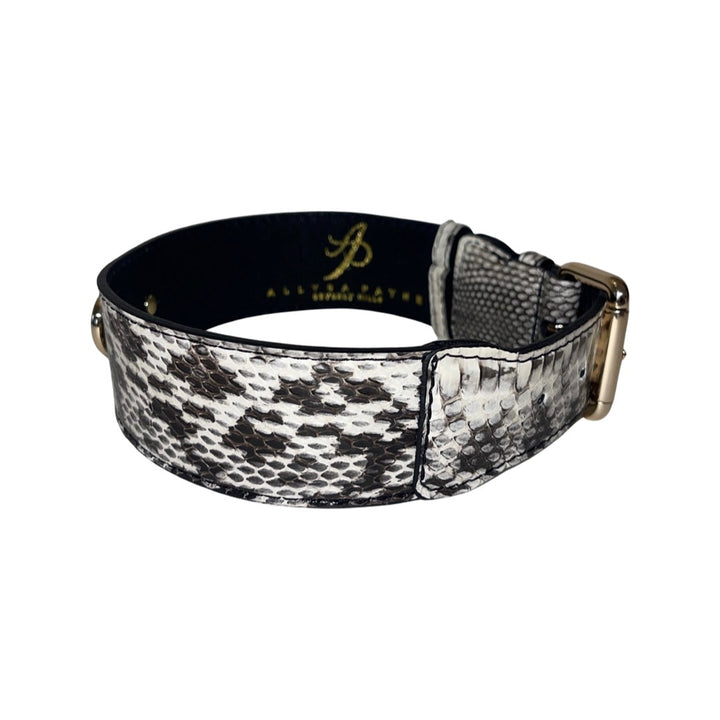 White &amp; Black Classic Snake Collar