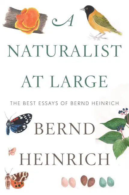 A Naturalist at Large: The Best Essays of Bernd Heinrich - Hardcover