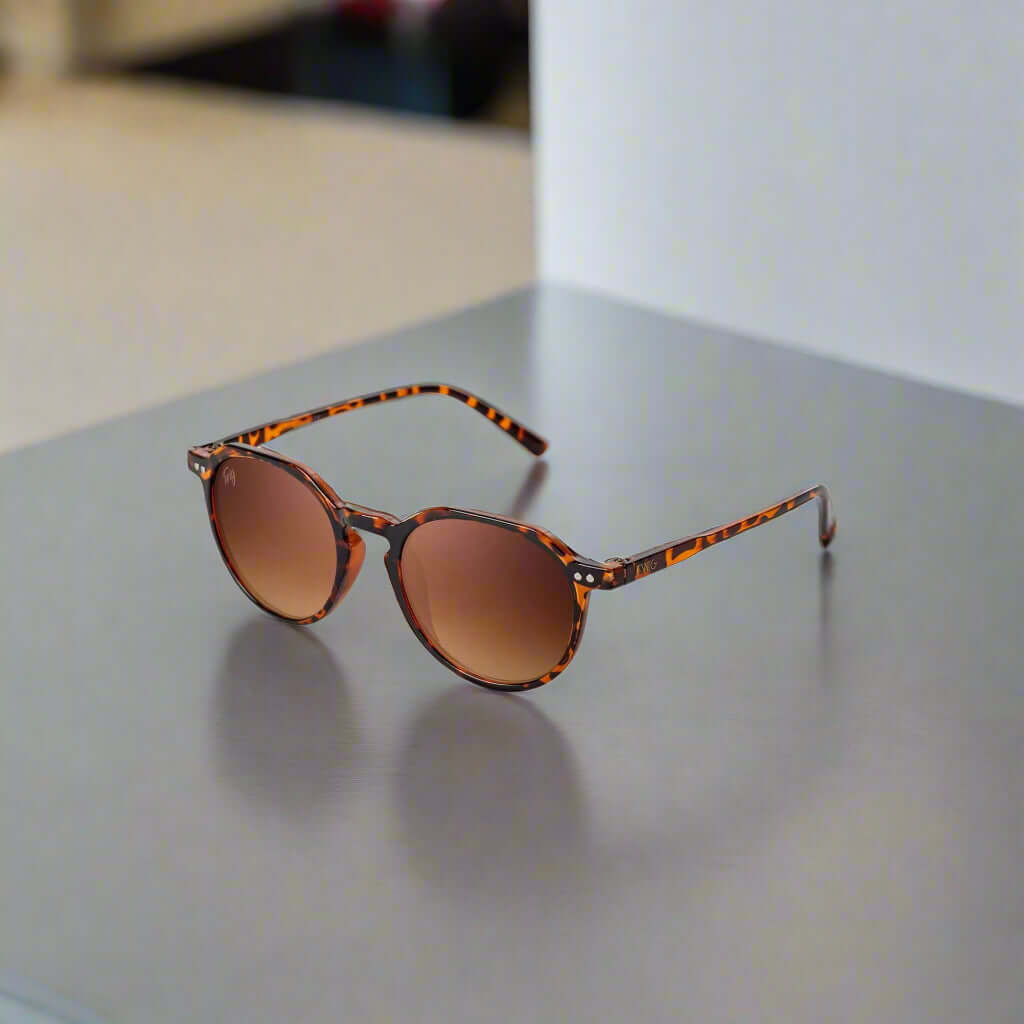 Twig men's and women's sunglasses in assorted styles including aviator, round, and square frames