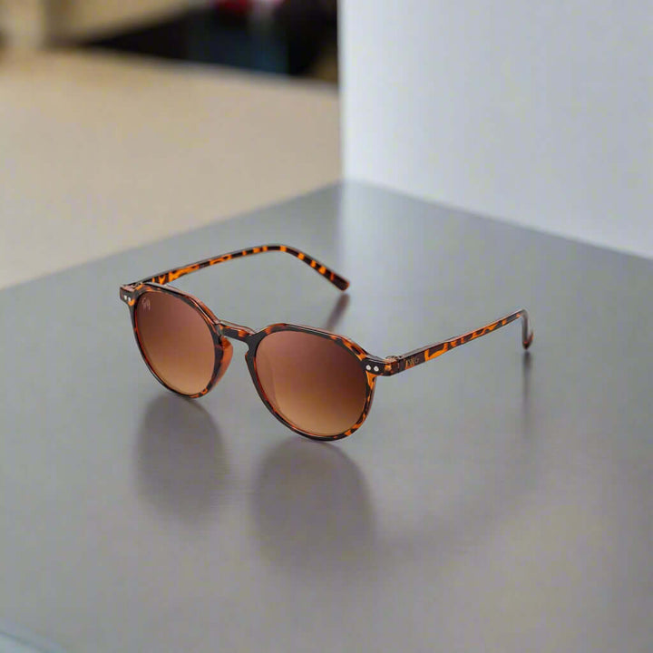 Twig men's and women's sunglasses in assorted styles including aviator, round, and square frames