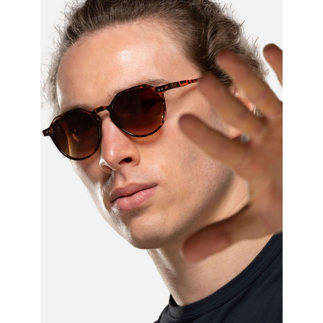 Twig men's and women's sunglasses in assorted styles including aviator, round, and square frames