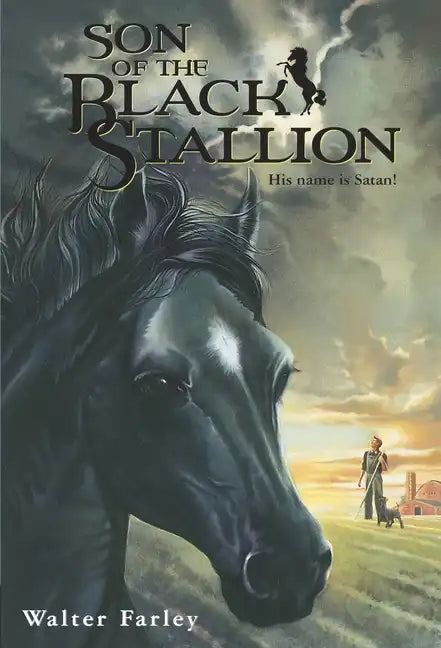 Son of the Black Stallion - Paperback