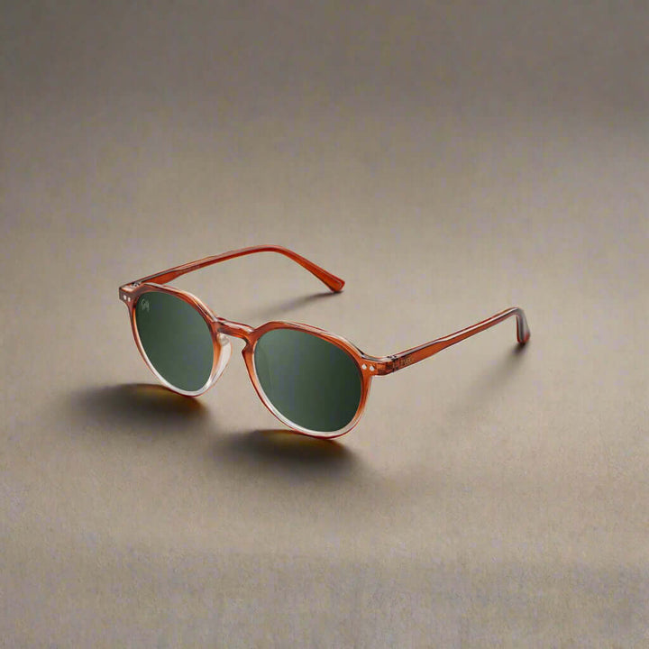 Twig men's and women's sunglasses in assorted styles including aviator, round, and square frames