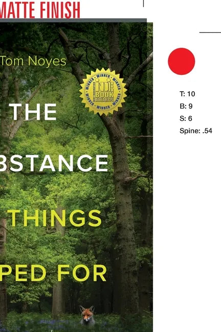 Substance of Things Hoped For - Paperback