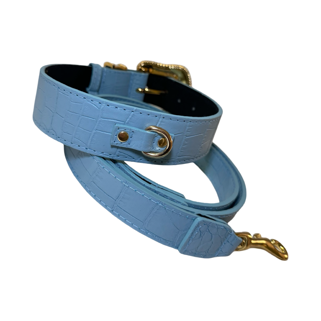 La Jolla Collar &amp; Leash Set