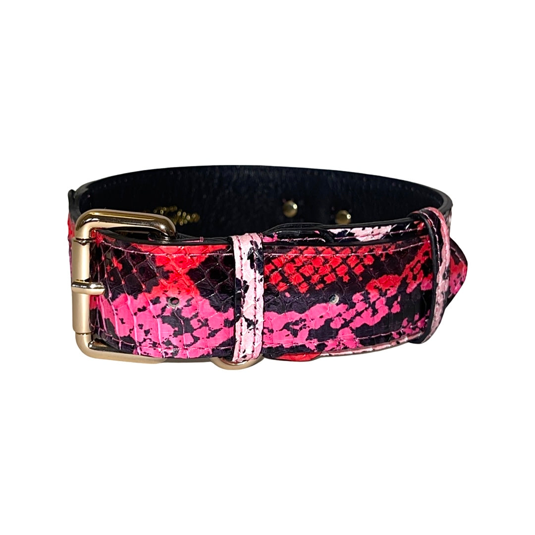 Fuchsia/Light Pink/Red &amp; Black Snake Classic Collar