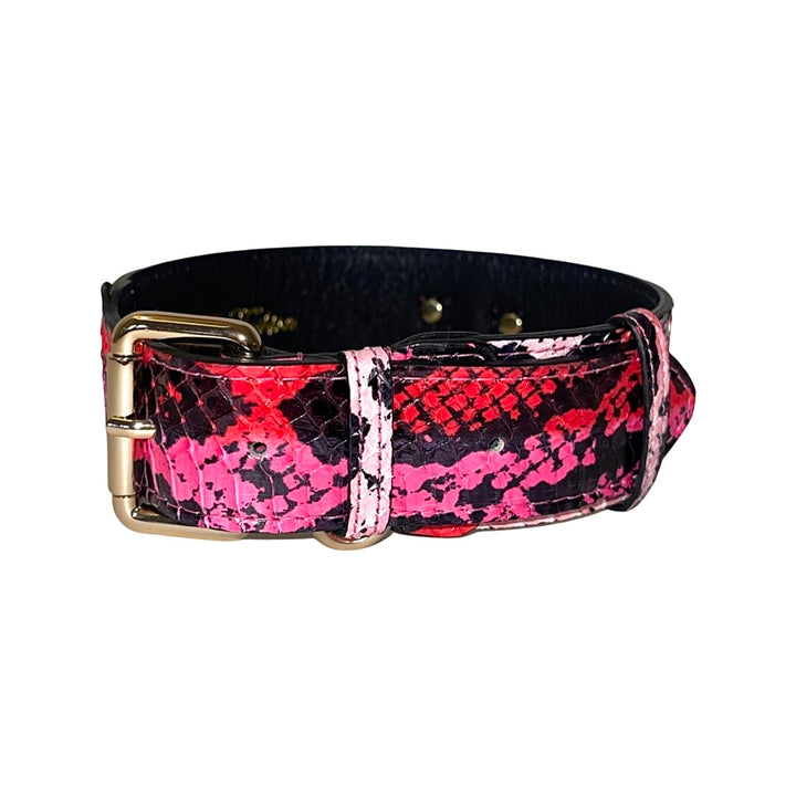 Fuchsia/Light Pink/Red &amp; Black Snake Classic Collar
