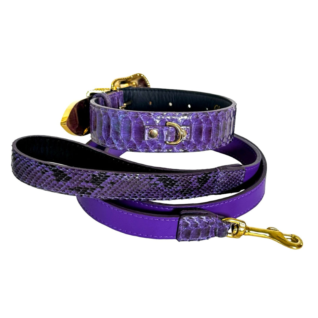 Amethyst Royale Python Set