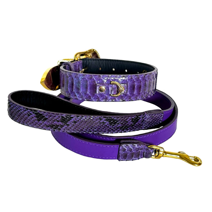 Amethyst Royale Python Set