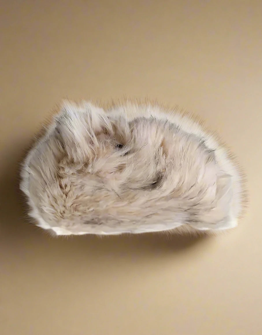 Dolce & Gabbana BEIGE ACRYLIC FUR WOMEN BUCKET HAT