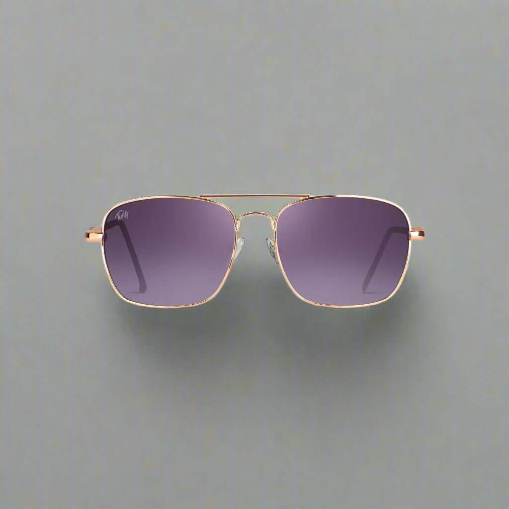 Twig men's and women's sunglasses in assorted styles including aviator, round, and square frames